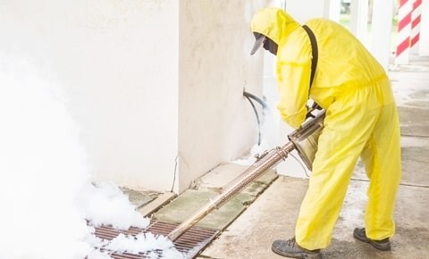 Fumigation