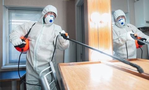 Residential Pest Control