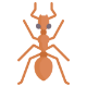Insect Control 15 ant img