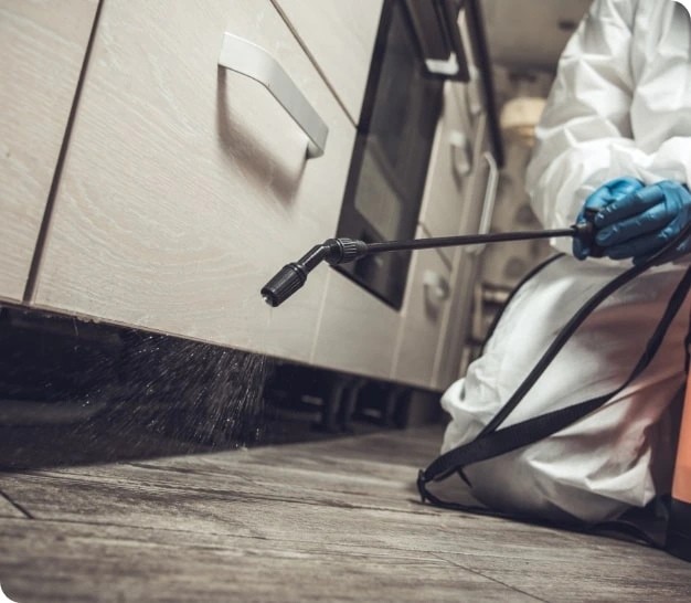 exterminator spraying