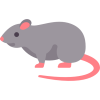 icon Rodents e1724162564974