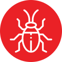 insect 3