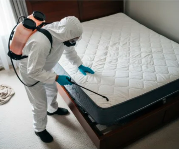 bed bug checking