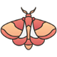 Insect Control 29 moth icon