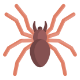 Insect Control 24 icon for spider