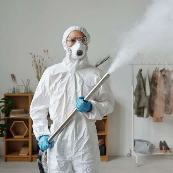cheap Exterminator