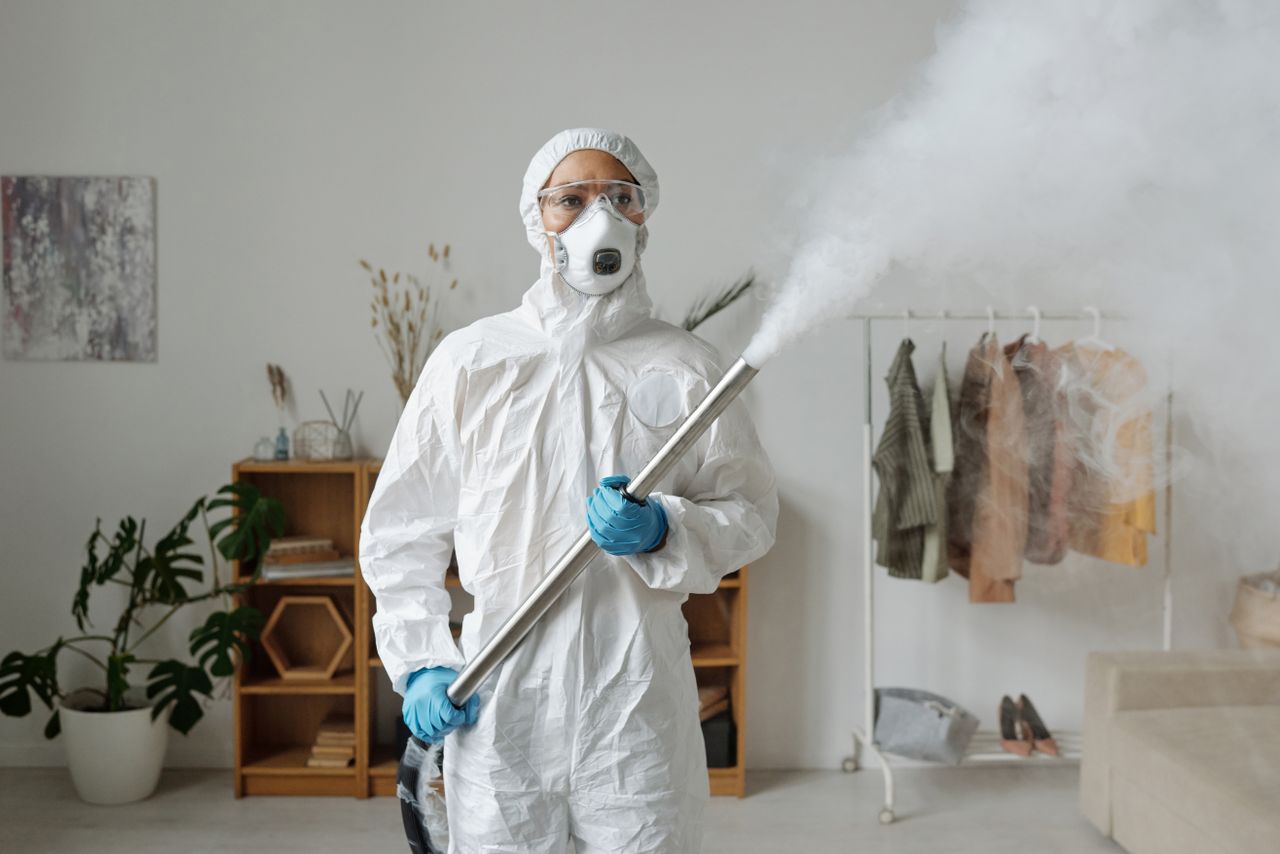 Insect Control 2 cheap